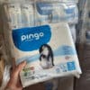 Pingo ecologische luiers maat 1 t/m 6 – duurzame en milieuvriendelijke wegwerpluiers voor baby’s