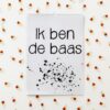 Posterpakket voor babykamer (jongen) - Afbeelding 8