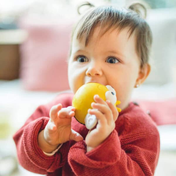 Eco bijtspeeltje bij voor baby’s, gemaakt van 100% natuurrubber