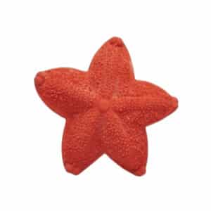 Duurzaam bijtspeeltje in de vorm van een zeester, zacht voor baby tandvlees