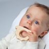 Houten Baby Speeltje - Egel - Grünspecht - Afbeelding 2