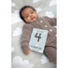 Baby met milestone foto kaart.