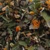 Lieve Start - Biologische Zwangerschapsthee - 60 gram - Afbeelding 2