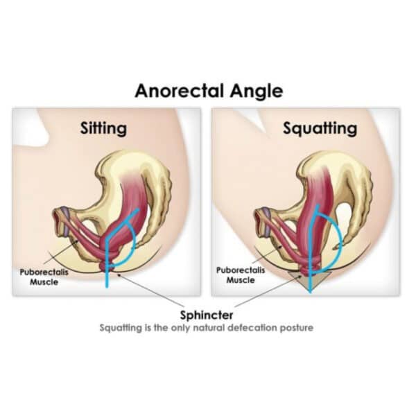 anatomisch plaspotje van bioplastic van EcoPitchoun, ergonomisch en duurzaam ontworpen voor zindelijkheidstraining