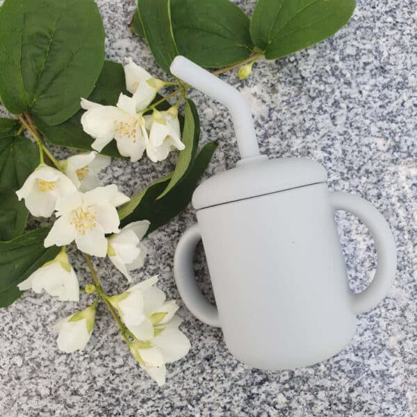 Grijze siliconen rietjesbeker van SUmmerville.