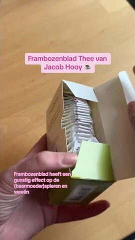 Frambozenblad Thee van Jacob Hooy 🌱