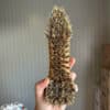 EcoLiving schrobborstel met natuurlijke vezels voor keuken en huishouden