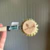 Plasticvrije afwasborstel van EcoLiving voor duurzaam afwassen
